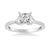 Bluebelle Contemporary Side Stone Floral Diamond Engagement Ring